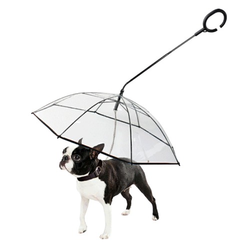 우주고양이 강아지 c자형 우산
